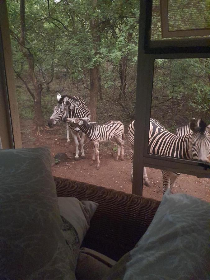 Canyon Guest Villa Hoedspruit Eksteriør billede